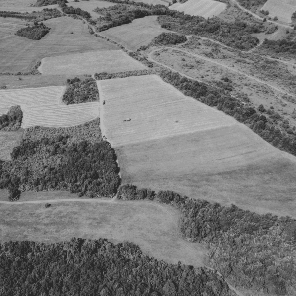 Colaboración sensibilización medio ambiente